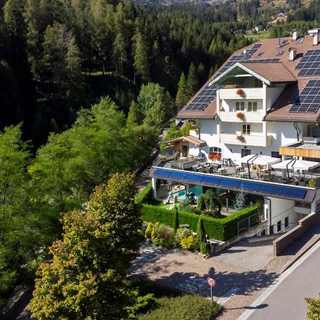 Hotel Erica Tesero Buitenkant foto