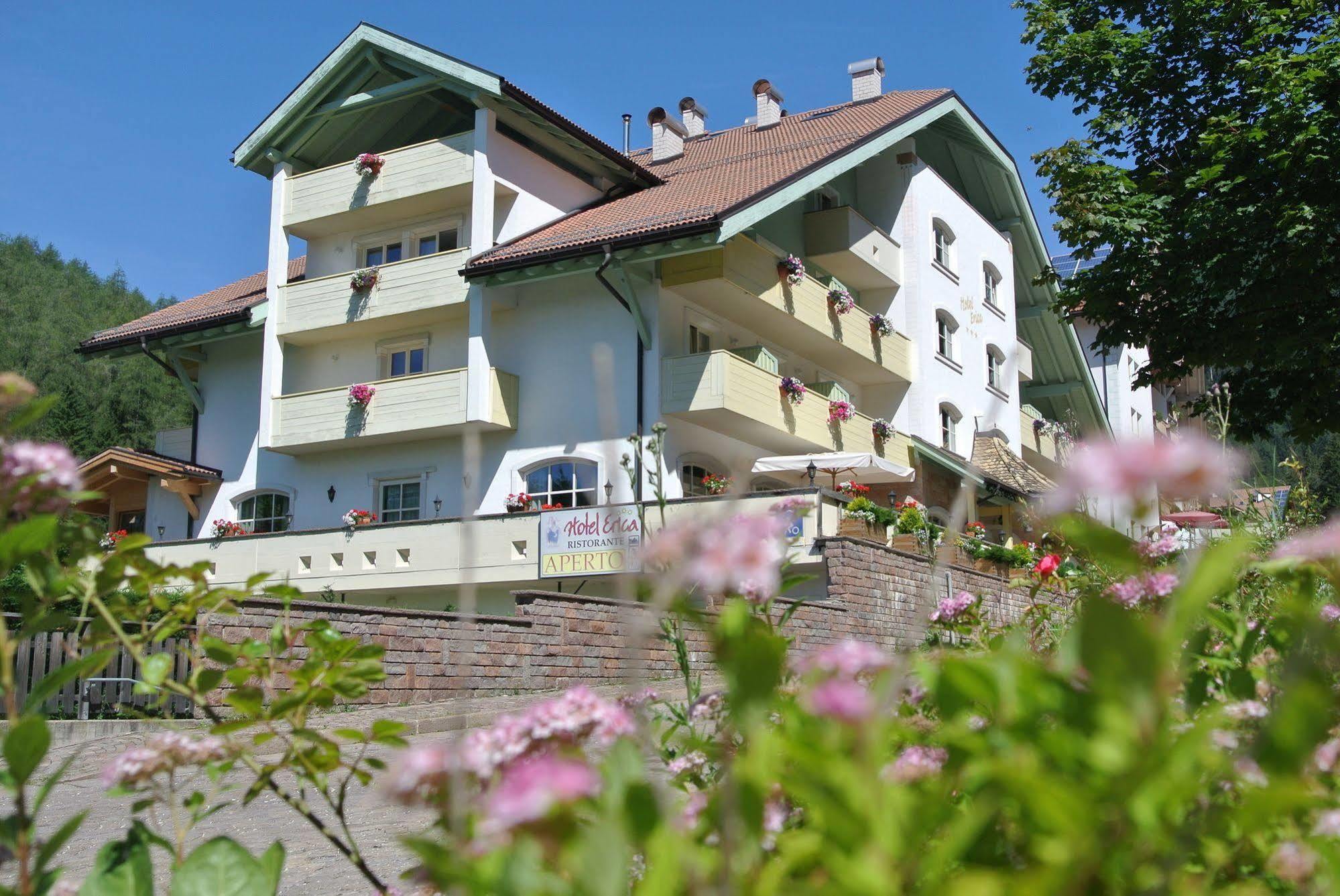 Hotel Erica Tesero Buitenkant foto